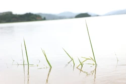 Đắk Lắk: Khắc phục hậu quả do mưa lũ gây ra