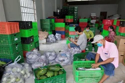 Giúp nông dân tiêu thụ nông sản trong mùa dịch