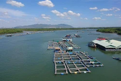 Khu nuôi thủy sản lồng bè trên sông Chà Và, xã Long Sơn, thành phố Vũng Tàu. Ảnh: Hoàng Nhị - TTXVN