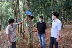 76 năm Quốc khánh: Mô Rai - điểm sáng ở vùng biên
