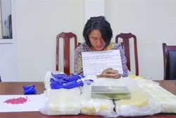 Điện Biên bắt một đối tượng nữ, thu giữ số lượng lớn ma túy