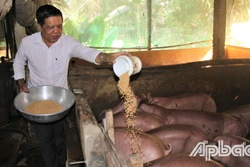 Đảng viên tiên phong vì cộng đồng