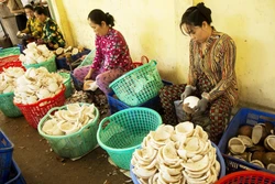 Hiệu quả ứng dụng công nghệ cao trong sản xuất nông nghiệp