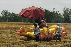 Bạc Liêu thực hiện tốt công tác an sinh xã hội