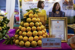 Tạo kết nối, nâng cao giá trị của cam Cao Phong cùng các nông sản chủ lực khác của Hòa Bình