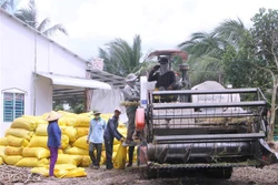 Phum, sóc vùng sâu Sóc Trăng chuyển mình phát triển