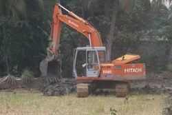 Hiệu quả chuyển đổi sản xuất trên vùng Đồng Tháp Mười