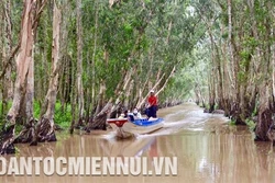 Rừng Tràm Sư mùa nước nổi