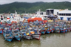 Trước những diễn biến phức tạp của cơn bão số 6, nhiều tàu thuyền của ngư dân các tỉnh miền Trung đã trở về đất liền và được neo đậu tránh trú bão an toàn tại Âu thuyền Thọ Quang và các khu vực vịnh Đà Nẵng. Chính quyền địa phương và người dân đang tích c