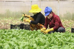 Phát triển bền vững Đồng bằng sông Cửu Long: Thuận thiên để thích ứng (Bài 3)