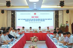 Quang cảnh Hội thảo. Ảnh: Hoài Nam - TTXVN