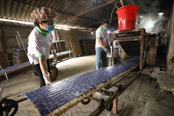 Sở hữu trí tuệ góp phần đưa nông sản Việt đến thị trường thế giới (Bài 3)