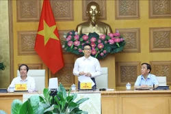 Phó Thủ tướng Chính phủ Vũ Đức Đam phát biểu chỉ đạo. Ảnh: Văn Điệp - TTXVN