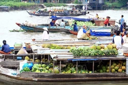 Chợ nổi Ba Ngàn (thị xã Ngã Bảy, tỉnh Hậu Giang) tấp nập ghe xuồng với bạt ngàn đặc sản hoa trái. Ảnh: Duy Khương – TTXVN