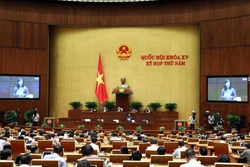 Bộ trưởng Bộ Y tế Đào Hồng Lan phát biểu giải trình, làm rõ một số vấn đề đại biểu Quốc hội nêu. Ảnh: Phạm Kiên - TTXVN
