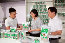 Nam Định nâng tầm sản phẩm OCOP đặc trưng của địa phương