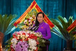 Đồng chí Lê Thị Thủy, Bí thư Tỉnh ủy Hà Nam khóa XX phát biểu tại Đại hội. Ảnh: Nguyễn Chinh - TTXVN