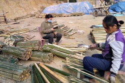 Sơ chế luồng, vầu ở huyện Quan Sơn. Ảnh: Nguyễn Nam-TTXVN