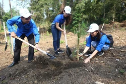 Thủ tướng Chính phủ chỉ thị về chương trình trồng 1 tỷ cây xanh và bảo vệ, phát triển rừng