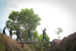 Đồng hành giữ từng tấc đất vùng biên Tây Ninh