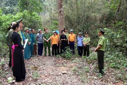 Cán bộ Hạt Kiểm lâm huyện Sơn Dương (Tuyên Quang) tuyên truyền về công tác phòng cháy, chữa cháy rừng. Ảnh: Quang Cường – TTXVN