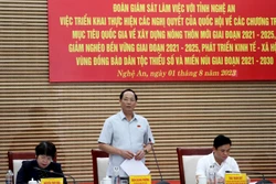 Thượng tướng Trần Quang Phương, Ủy viên Ban Chấp hành Trung ương Đảng, Phó Chủ tịch Quốc hội phát biểu tại buổi làm việc. Ảnh: Văn Tý - TTXVN
