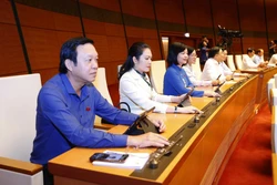 Đại biểu Quốc hội tỉnh Tiền Giang biểu quyết thông qua Luật Tài nguyên nước (sửa đổi). Ảnh: Doãn Tấn - TTXVN