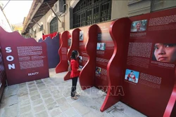 Không gian trưng bày được thể hiện qua hai màu sắc chủ đạo là Xám và Đỏ, ứng với hai phần nội dung Sắt và Son của trưng bày. Ảnh: Thanh Tùng - TTXVN
