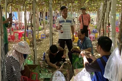 Các thành viên Hợp tác xã ở huyện Ninh Hải trồng nho kết hợp với phát triển du lịch. Ảnh: Công Thử - TTXVN