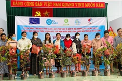Thông qua mô hình "Một hố rác - Một cây xanh", dự án đã hỗ trợ 180 cây vú sữa Lò Rèn cho bà con hai xã Vạn Ninh và Trường Xuân, huyện Quảng Ninh, Quảng Bình. Ảnh: Võ Dung - TTXVN