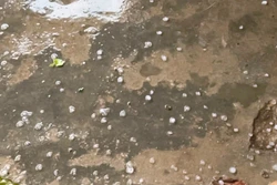 Xuất hiện mưa đá tại các huyện miền núi cao của Quảng Nam