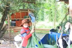 Chị Lý Say Kín ở thôn Bình Giai, xã Phước Minh, huyện Bù Gia Mập chăm sóc đàn đê từ nguồn hỗ trợ chính sách xã hội. Ảnh: K GửiH -TTXVN