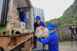 Các công nhân của Công ty TTHH MTV Cao Phong vận chuyển sản phẩm quả cam Cao Phong đã đóng hộp lên container chuẩn bị xuất khẩu sang thị trường Vương Quốc Anh. Ảnh: Trọng Đạt -TTXVN