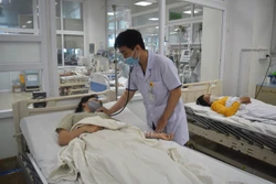 Bác sĩ khuyến cáo cách xử lý khi bị rắn độc cắn