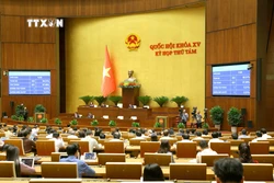 Kỳ họp thứ 8, Quốc hội khóa XV: Thông qua Luật Di sản văn hóa (sửa đổi)