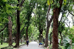 Không gian cây xanh trong công viên Hoàng Văn Thụ, quận Tân Bình (Thành phố Hồ Chí Minh). Ảnh: Hồng Đạt - TTXVN