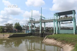 Cần kịp thời, quyết liệt ứng phó với hạn, mặn tại Đồng bằng sông Cửu Long