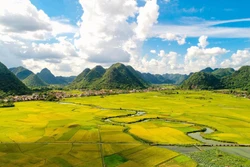 Đẹp rực rỡ mùa vàng ở thung lũng Bắc Sơn tháng 7/2022. Ảnh: Anh Tuấn – TTXVN