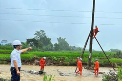 Tập trung khẩn trương khắc phục sự cố lưới điện trong mùa mưa lũ. Ảnh: TTXVN phát