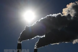 Phương pháp biến đổi CO2 thành các hợp chất có lợi