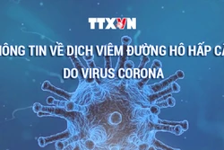 Dịch COVID-19: Không còn bệnh nhân nặng, 1007/1094 ca đã được chữa khỏi