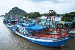 Năm 2019, tiếp tục hỗ trợ hệ thống quan sát tàu cá bằng công nghệ vệ tinh