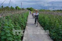 Điều chỉnh một số nội dung về xây dựng nông thôn mới
