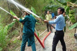 Long An triển khai nhiều giải pháp phòng chống cháy rừng