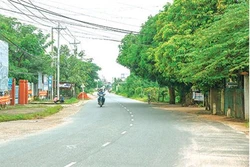 Bình Thuận ưu tiên đầu tư phát triển các mô hình sản xuất, nâng cao thu nhập vùng nông thôn 