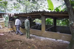Sơn La xuất hiện bệnh dịch tả lợn châu Phi