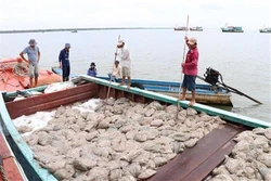 Phát huy thế mạnh nuôi trồng và khai thác thủy sản