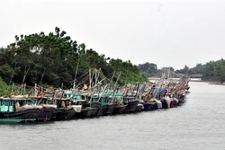 Thông tin về bão số 7 và siêu bão HAIMA