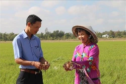 Trà Vinh: Hạn chế ảnh hưởng mặn xâm nhập nội đồng
