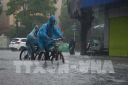 Thời tiết ngày 9/10: Bắc Bộ và Thanh Hóa có mưa và dông mạnh, đề phòng thời tiết nguy hiểm
